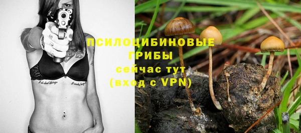 стаф Белоозёрский