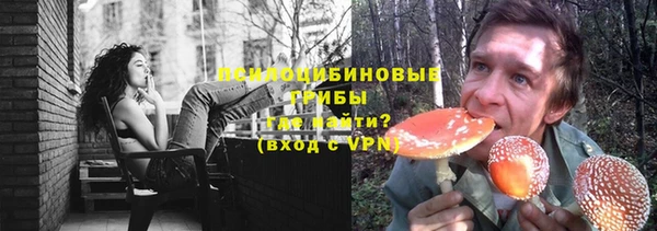 spice Беломорск